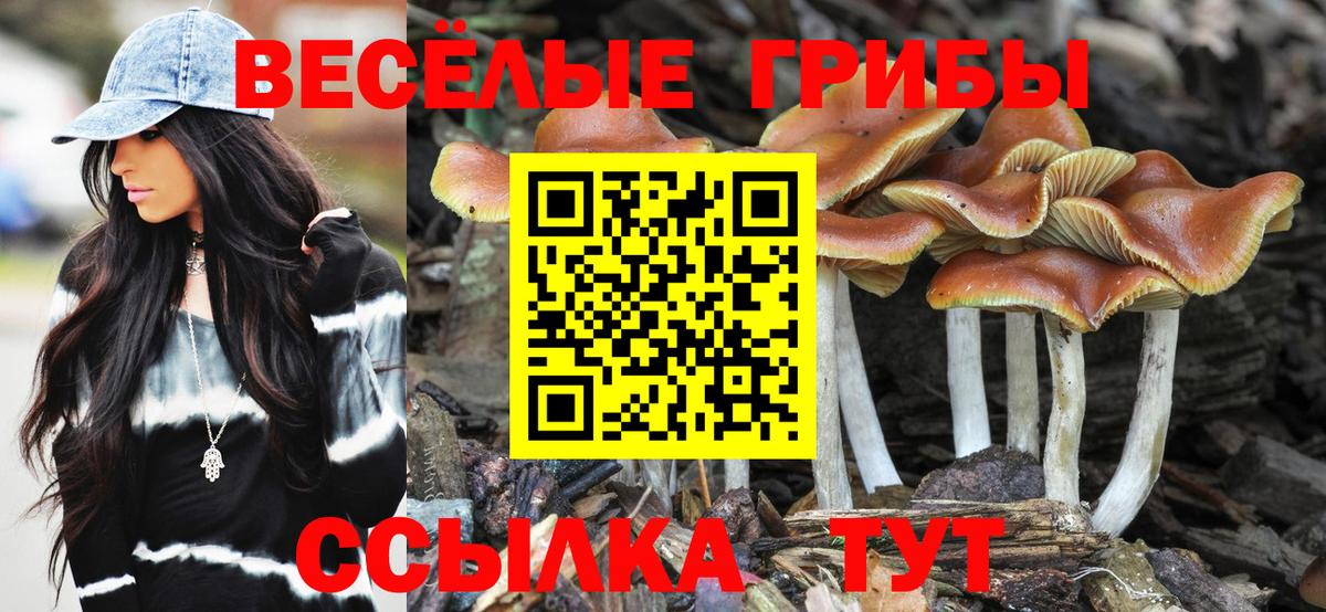 Галлюциногенные грибы GOLDEN TEACHER Коркино